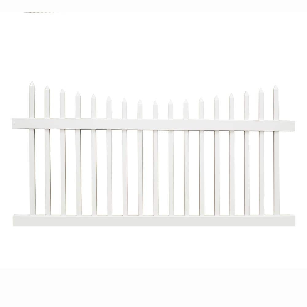 A single green leaf against a white background.