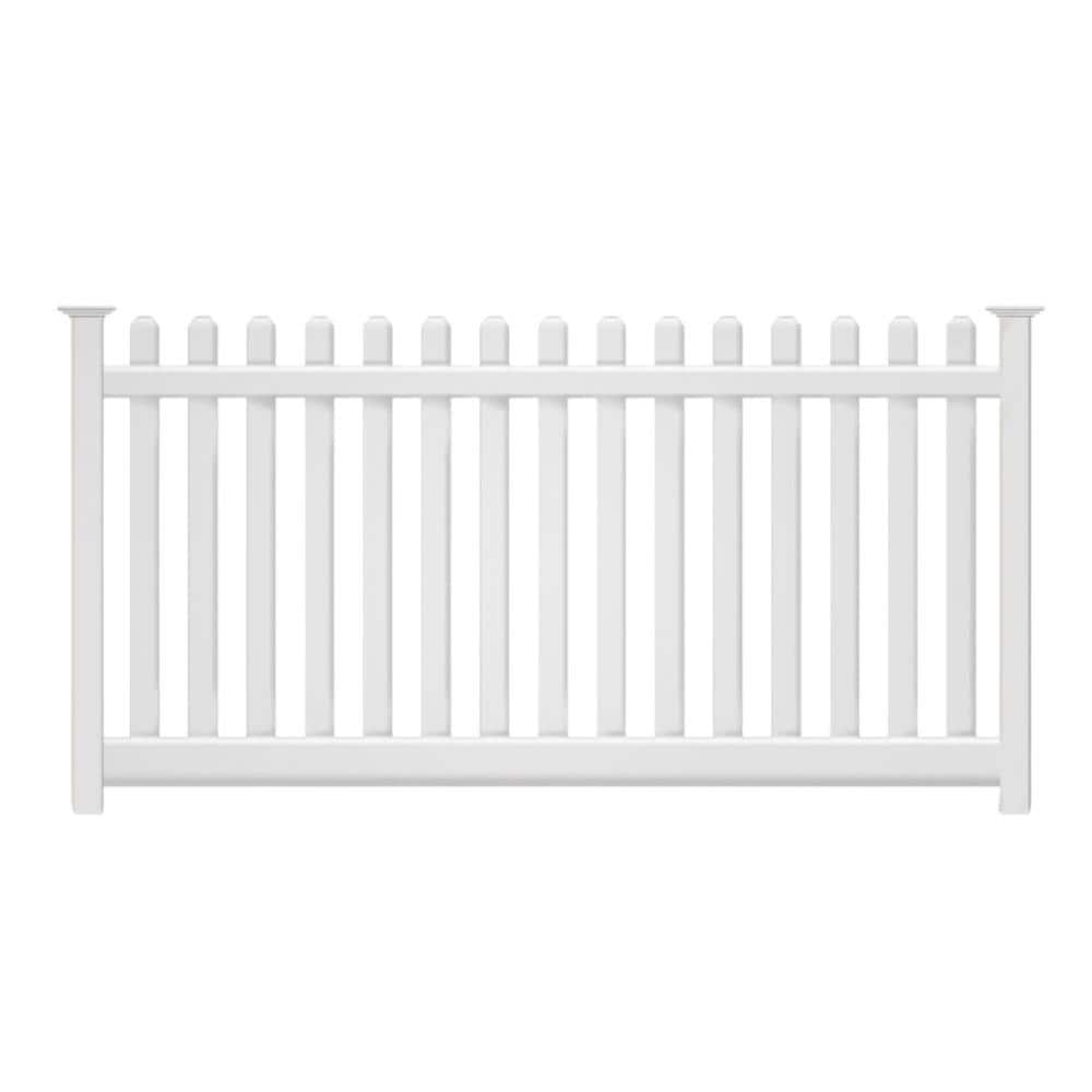 A single green leaf against a white background.