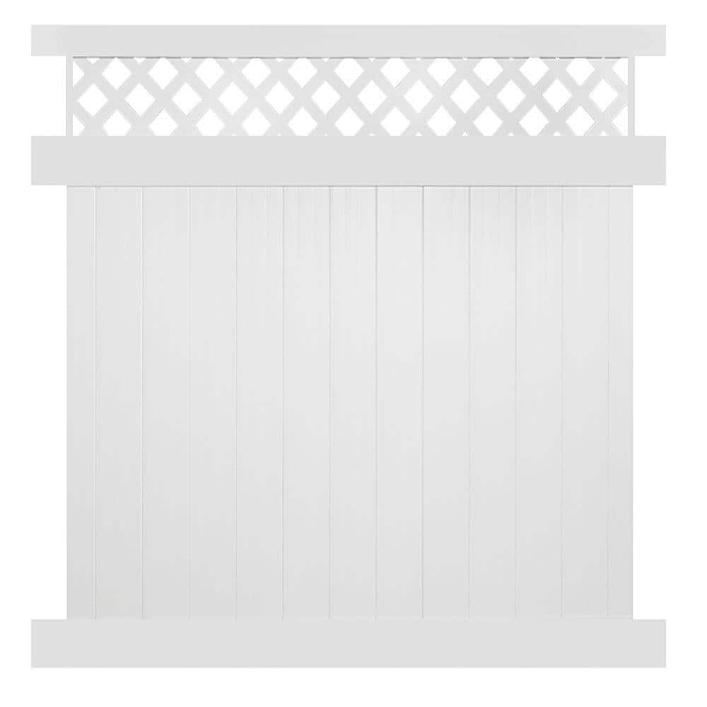 A single green leaf against a white background.