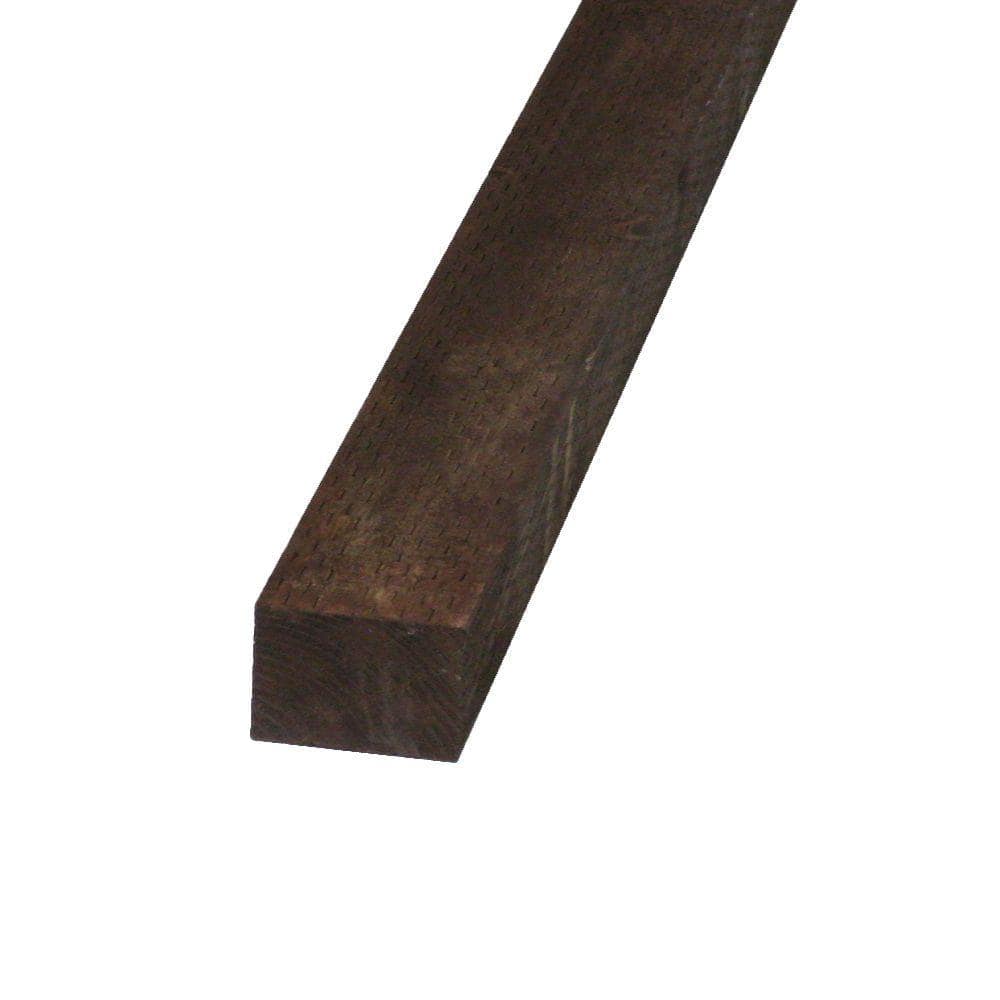 A single green leaf against a white background.