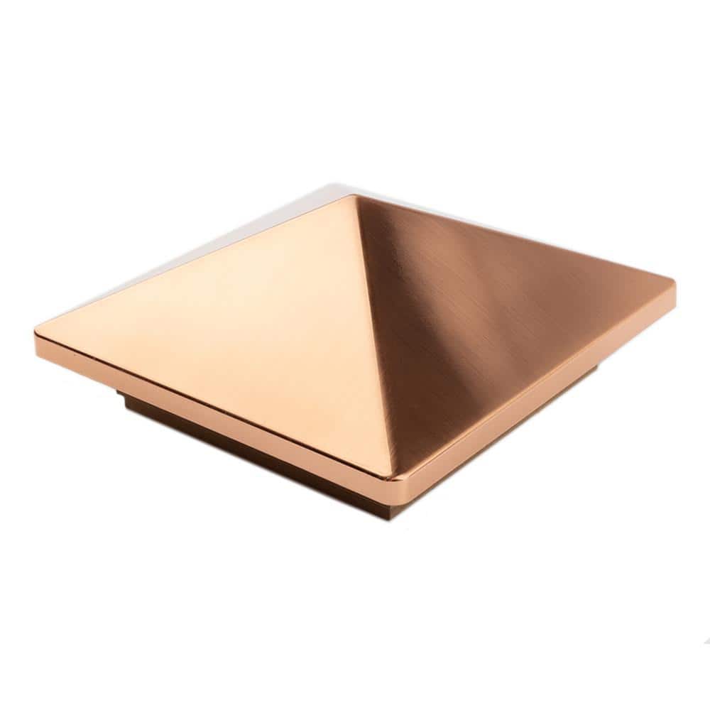 A single green leaf against a white background.