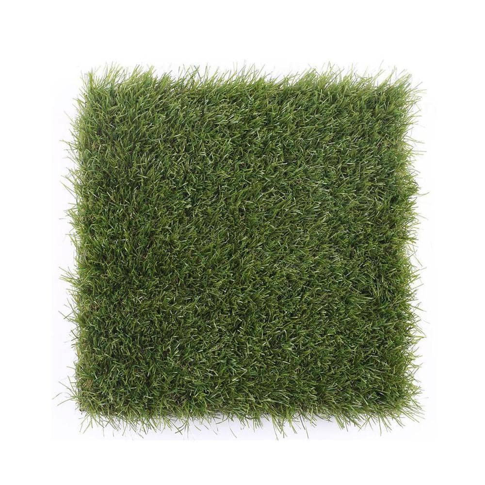 A single green leaf against a white background.