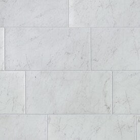 Style Selections Futuro White 12-in x 24-in Porcelain Tile (Common: 12-in x 24-in; Actual: 11.75-in x 23.75-in) - Super Arbor