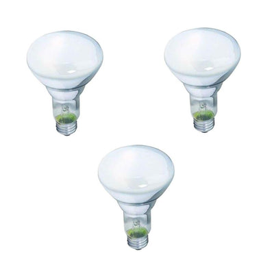 Philips 65-Watt BR30 Incandescent DuraMax Dimmable Flood Light Bulb (3-Pack) - Super Arbor