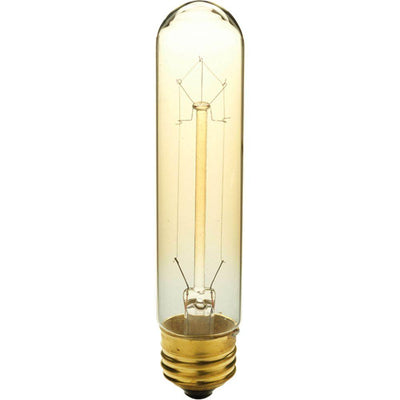 Progress Lighting 40-Watt T10 E26 Incandescent Light Bulb Medium Base Vintage Amber Lamp - Super Arbor