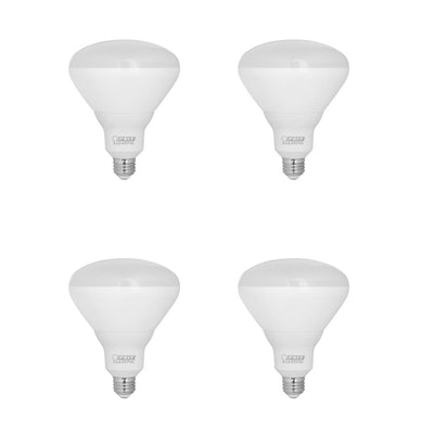 Feit Electric 300-Watt Equivalent BR40 Daylight (6500K) 120-Volt Pool and Spa Non-Dimmable LED Light Bulb (4-Pack) - Super Arbor