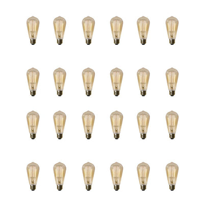 Feit Electric 60-Watt ST19 Dimmable Incandescent Amber Glass Vintage Edison Light Bulb with Cage Filament Soft White (24-Pack)