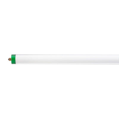 59-Watt 8 ft. Alto T8 Fluorescent Tube Light Bulb, Cool White (4100K) - Super Arbor
