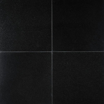 MSI Absolute Black 12 in. x 12 in. Polished Granite Floor and Wall Tile (10 sq. ft. / case) - Super Arbor