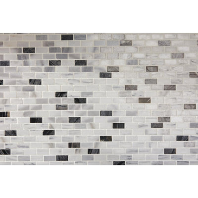 Daltile Snow Illusion 2-5/8 in. x 12 in. Marble Decorative Accent Wall Tile (0.2188 sq. ft./ piece) - Super Arbor