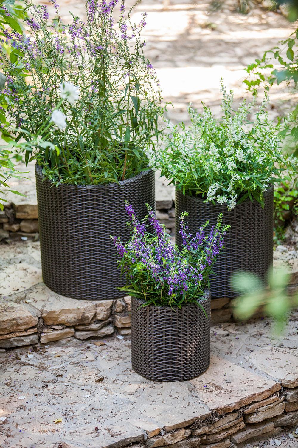 keter plant pots Keter Rattan Cylinder 3-Piece Resin Planter Set, Brown
