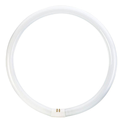 Philips 40-Watt 16 in. Circline T9 Fluorescent Tube Light Bulb Cool White (4100K) (1-Bulb) - Super Arbor