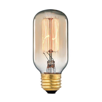 Titan Lighting Ogden Collection 60-Watt Incandescent T6 Medium Base Vintage Filament Light Bulb - Super Arbor
