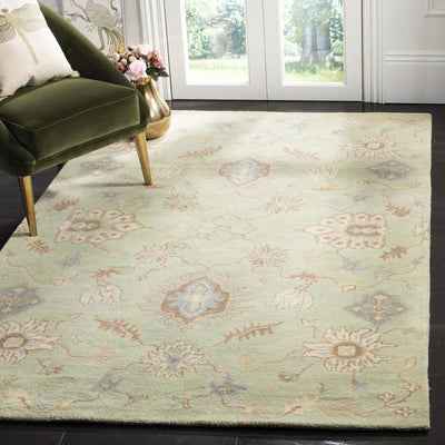 Safavieh Wyndham Buckden 5 x 8 Light Green Indoor Floral/Botanical Vintage Handcrafted Area Rug