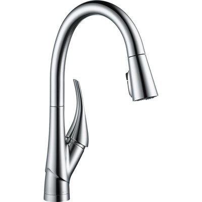 Esque Single-Handle Pull-Down Sprayer Kitchen Faucet with ShieldSpray Technology in Arctic Stainless - Super Arbor