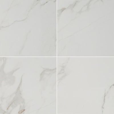 MSI Carrara 24 in. x 24 in. Polished Porcelain Floor and Wall Tile (28 cases / 448 sq. ft. / pallet) - Super Arbor