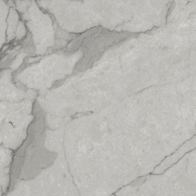 TrafficMaster Grey Marble 12 in. Width x 12 in. Length x 0.080 in. Thick Peel and Stick Vinyl Tile (30 sq. ft. / case) - Super Arbor