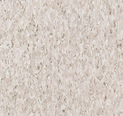 Armstrong Flooring Imperial Texture VCT Taupe 45-Piece 12-in x 12-in Commercial Vinyl Tile (45-sq ft/case)