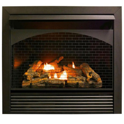 ProCom 32,000 BTU Gas Fireplace Insert Dual Fuel Technology with Remote Control - Super Arbor