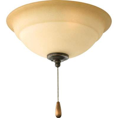 Torino Collection 2-Light Forged Bronze Ceiling Fan Light Kit - Super Arbor