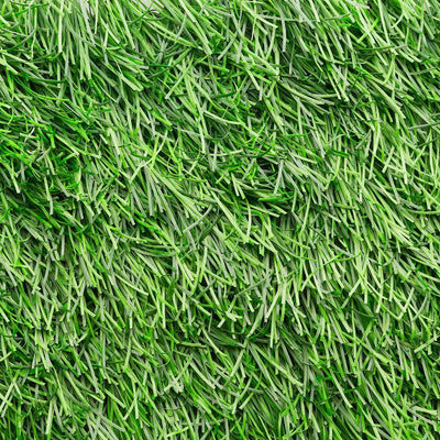 EZ Hybrid Turf 6-1/2 x 10 ft. Artificial Grass