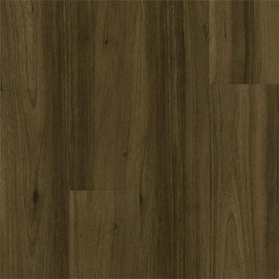 Armstrong American Home Underground Brown 6 in. x 36 in. Glue Down Vinyl Plank (35.95 sq. ft. / carton) - Super Arbor