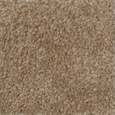TrafficMaster Hot Shot II - Color Tuscan Texture 12 ft. Carpet (1080 sq. ft. / Roll)