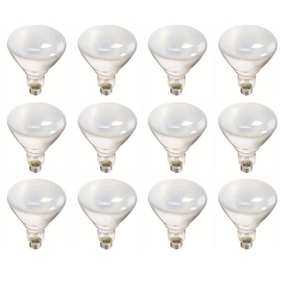 Philips 65-Watt BR40 Incandescent Flood Light Bulb Soft White (2700K) (12-Pack) - Super Arbor