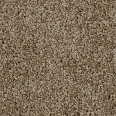 TrafficMaster Thoroughbred II - Color Chestnut Texture 12 ft. Carpet (1080 sq. ft. / Roll) - Super Arbor