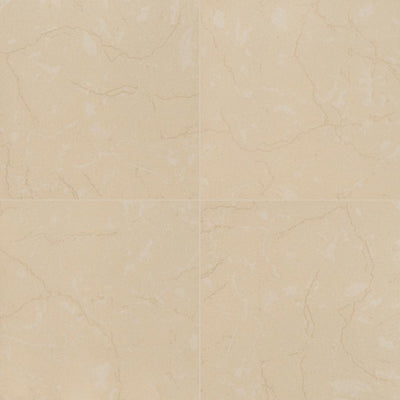 MSI Monterosa Beige 20 in. x 20 in. Polished Porcelain Floor and Wall Tile (19.44 sq. ft. / case) - Super Arbor